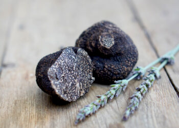 Deux truffes sur une table