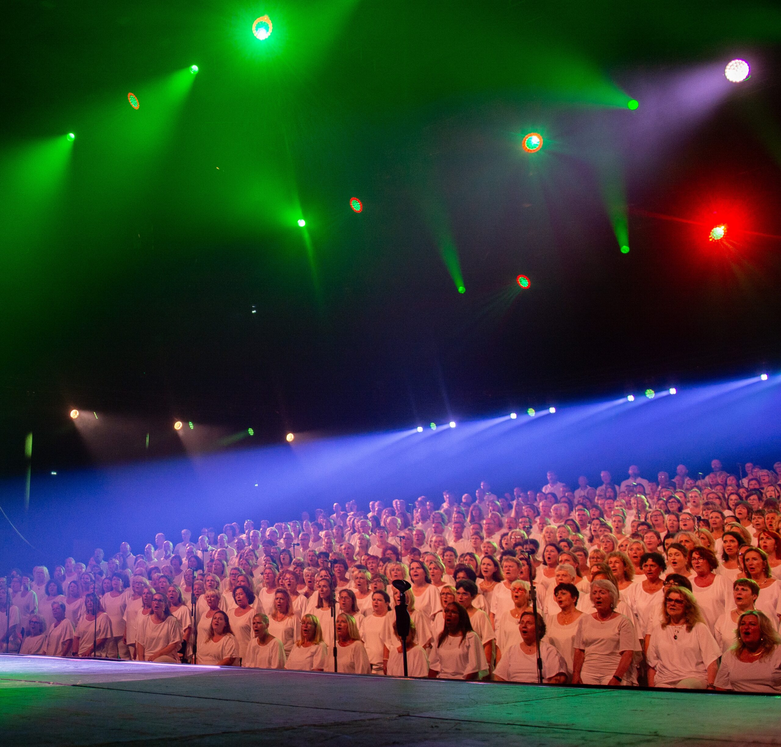 Image principale de l'évènement Téléthon : Le Chœur du Sud en concert